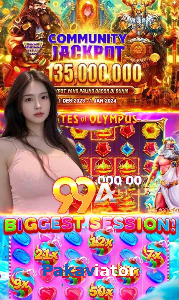 Pakaviator hero visual